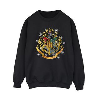 Harry Potter  Sweatshirt 