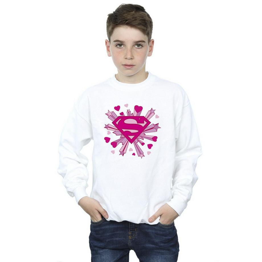DC COMICS  Sweatshirt 
