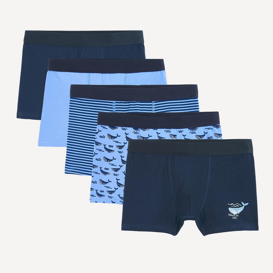 5er-Pack Boxershorts aus Baumwolle