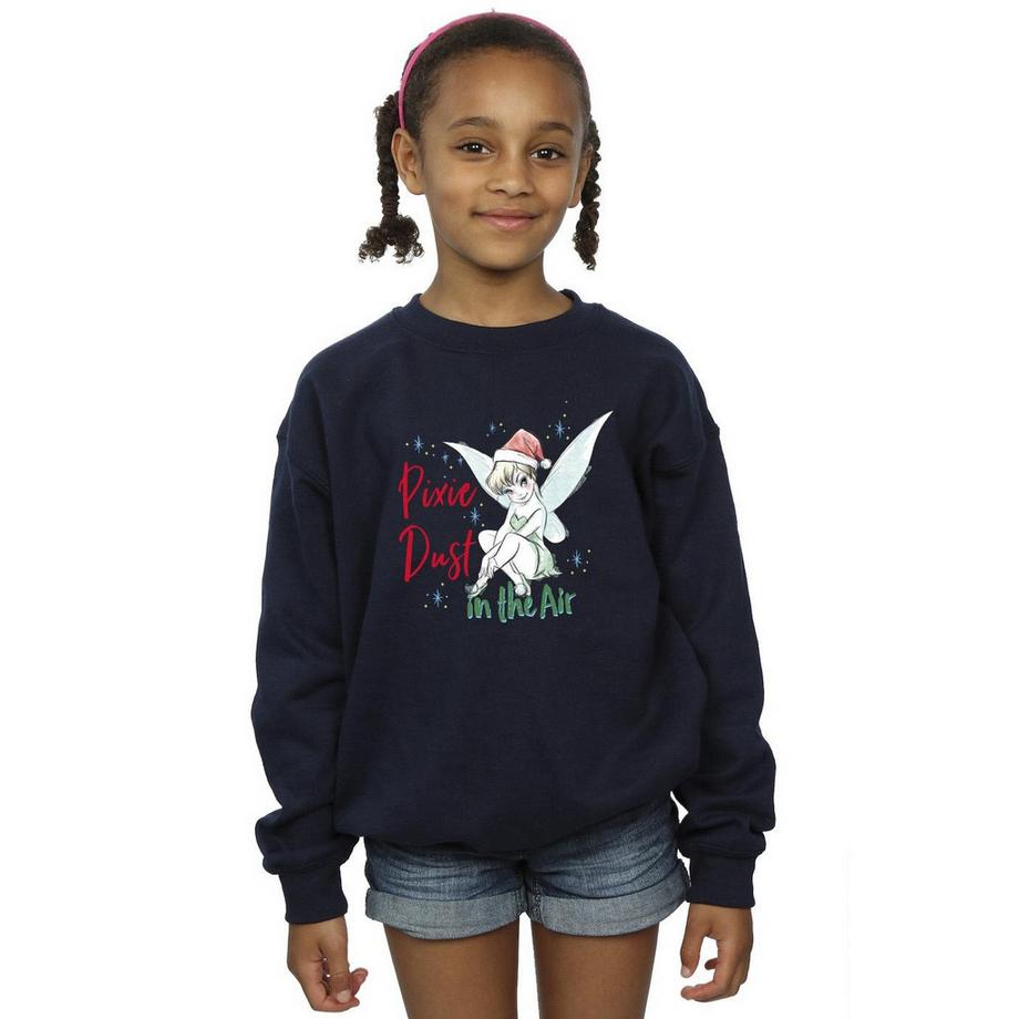 Disney  Pixie Dust Sweatshirt 