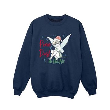 Pixie Dust Sweatshirt