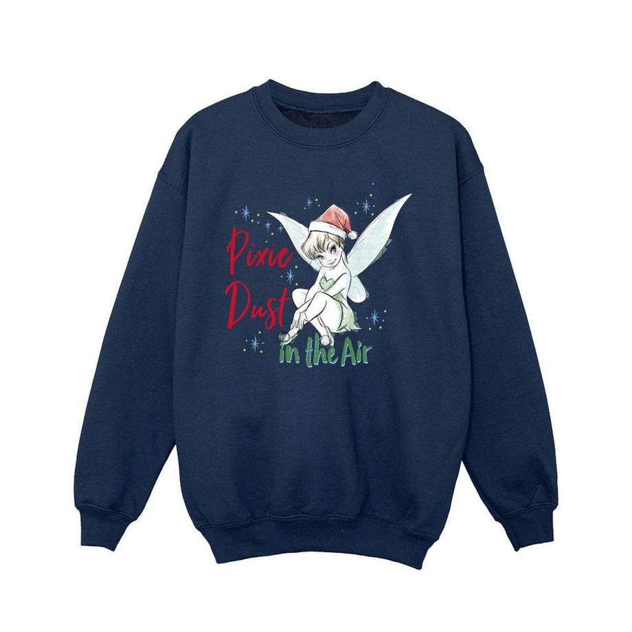 Disney  Pixie Dust Sweatshirt 