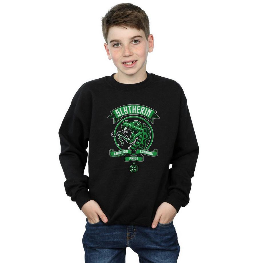 Harry Potter  Slytherin Sweatshirt 