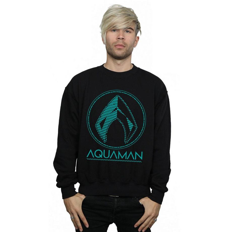 DC COMICS Aquaman Logo Sweatshirt  