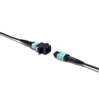 celeritytechnologies  Celerity Technologies UFO-DP-160P cavo e adattatore video 48,8 m DisplayPort Nero 