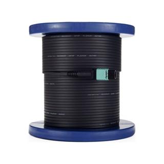 celeritytechnologies  Celerity Technologies UFO-DP-160P cavo e adattatore video 48,8 m DisplayPort Nero 