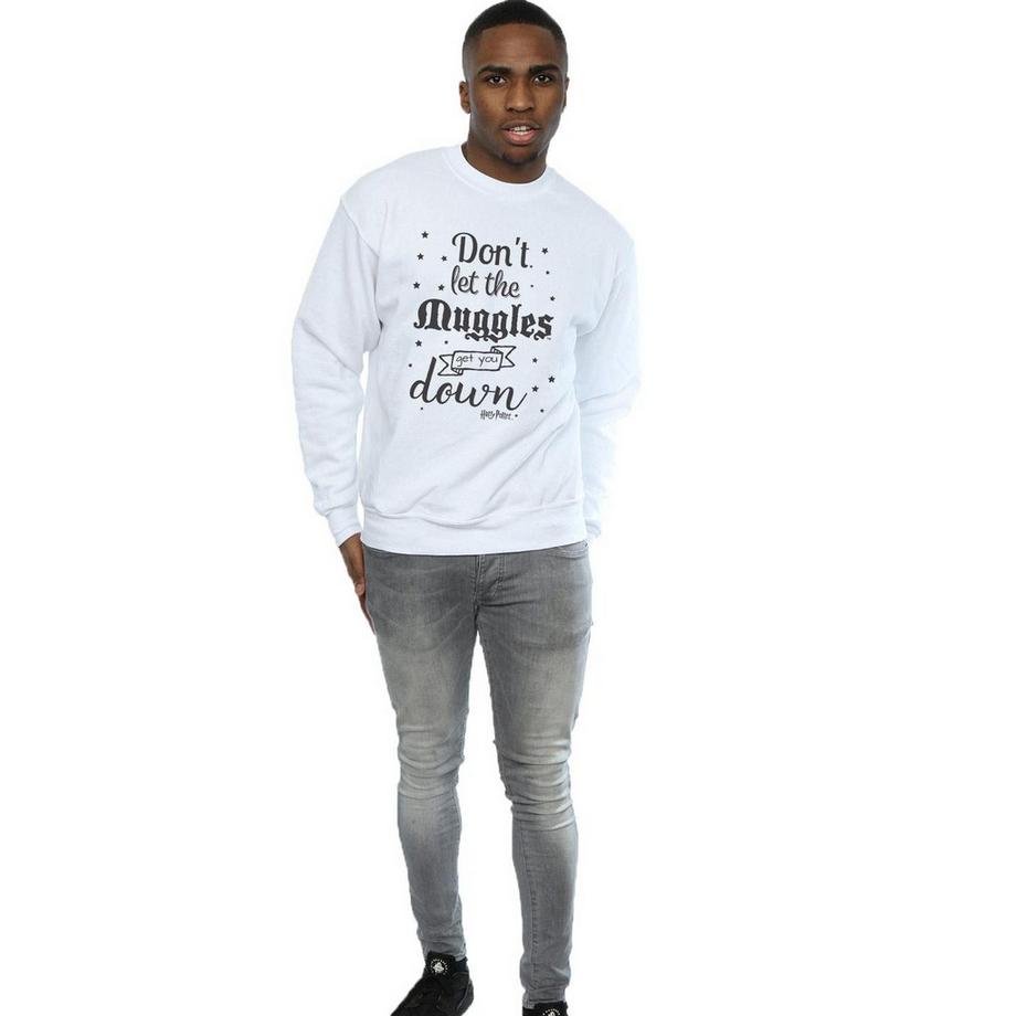 Harry Potter Don't Let The Muggles Sweatshirt  