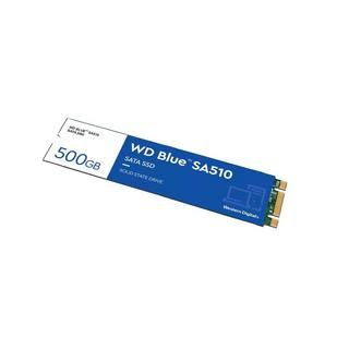 Western Digital  Blue SA510 M.2 500 Go Série ATA III 