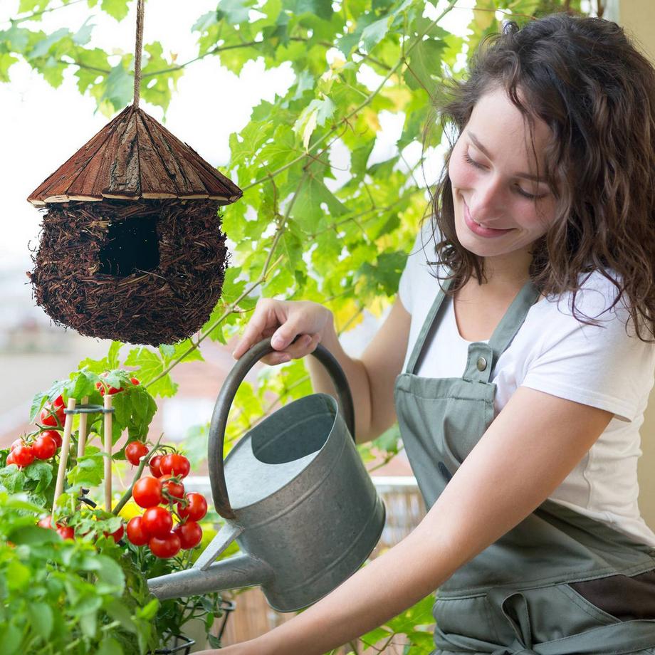 B2X  Stroh aus Vogelnest 