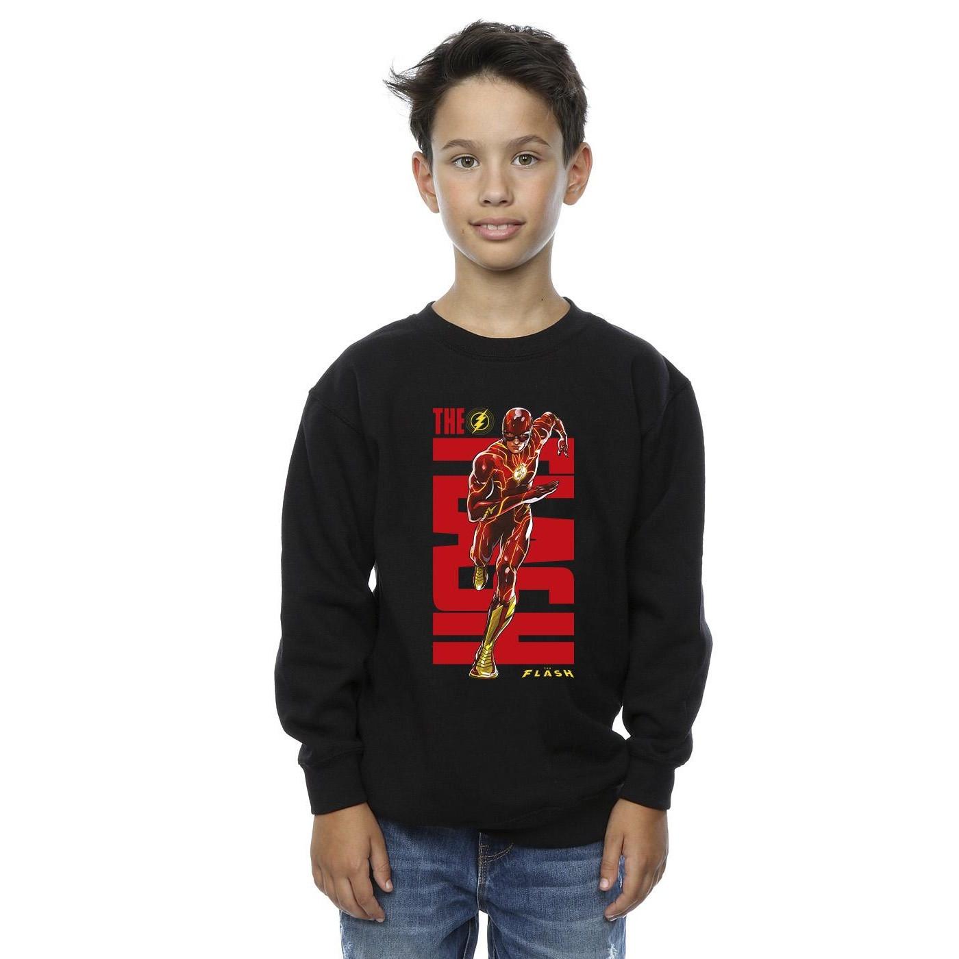 DC COMICS  Sweatshirt 