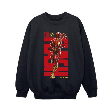 DC COMICS  Sweatshirt 