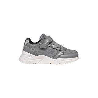 GEOX  sneakers loftus 