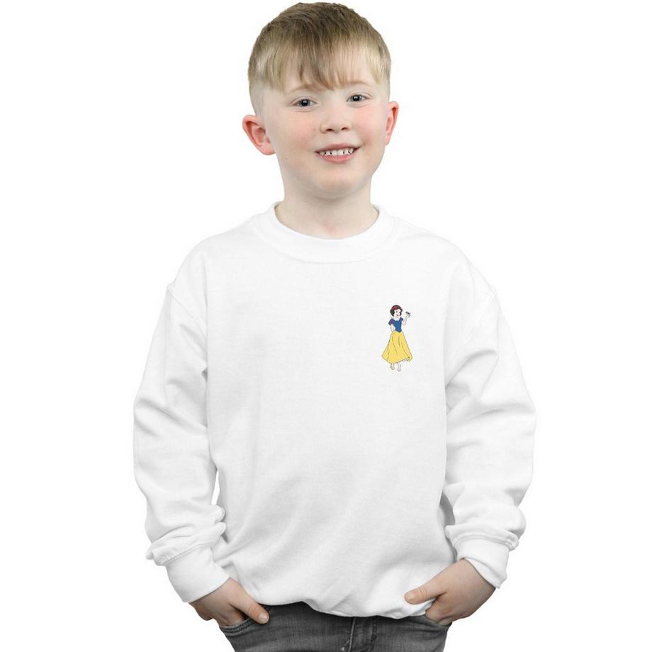 Disney PRINCESS  Sweatshirt 