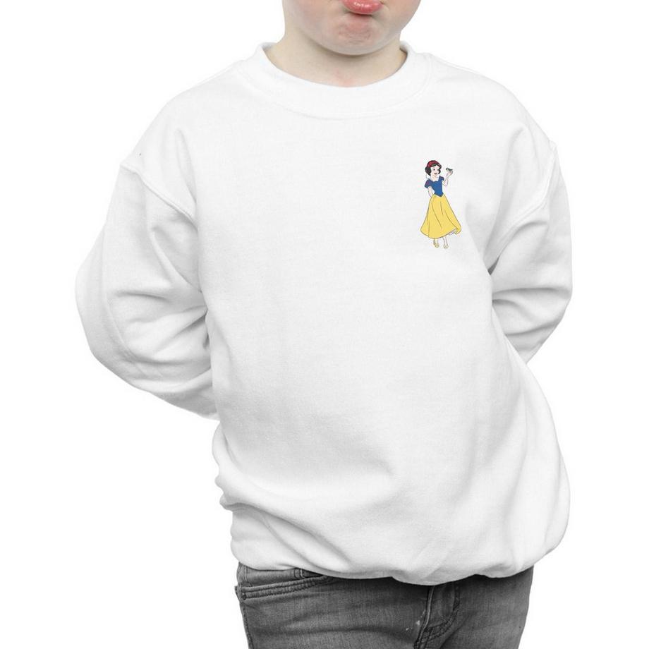 Disney PRINCESS  Sweatshirt 