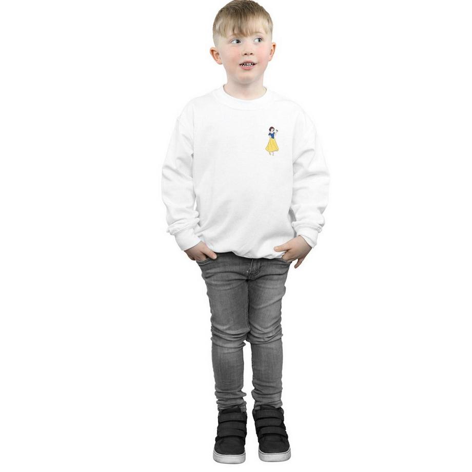 Disney PRINCESS  Sweatshirt 