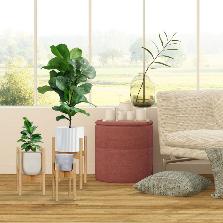 B2X Supporto per piante in un set di 3  