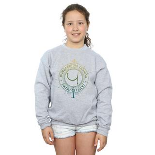 HARRY-POTTER  Wingardium Leviosa Sweatshirt 