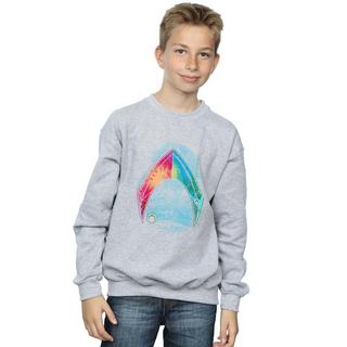 DC COMICS  Sweatshirt 