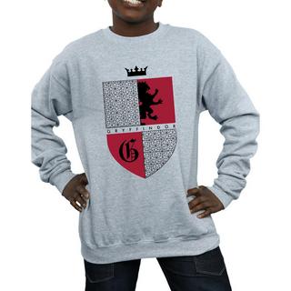 HARRY-POTTER  Gryffindor Sweatshirt 