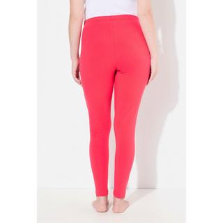 Ulla Popken  Leggings, Baumwolle, Slim, Elastikbund 