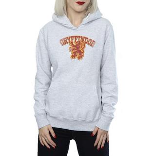 Harry Potter  Gryffindor Kapuzenpullover 