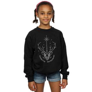 HARRY-POTTER  Expecto Patronum Sweatshirt 