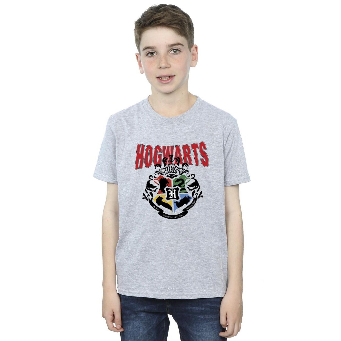 Harry Potter  Hogwarts TShirt 
