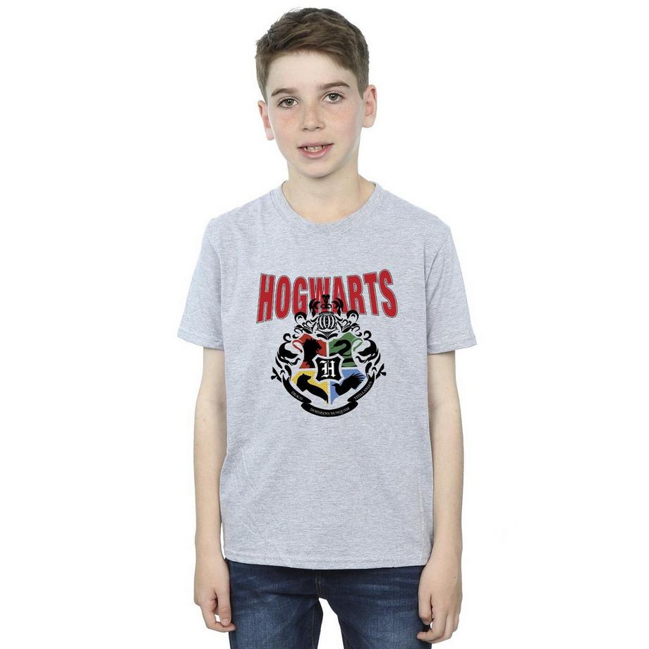 Harry Potter  Hogwarts TShirt 