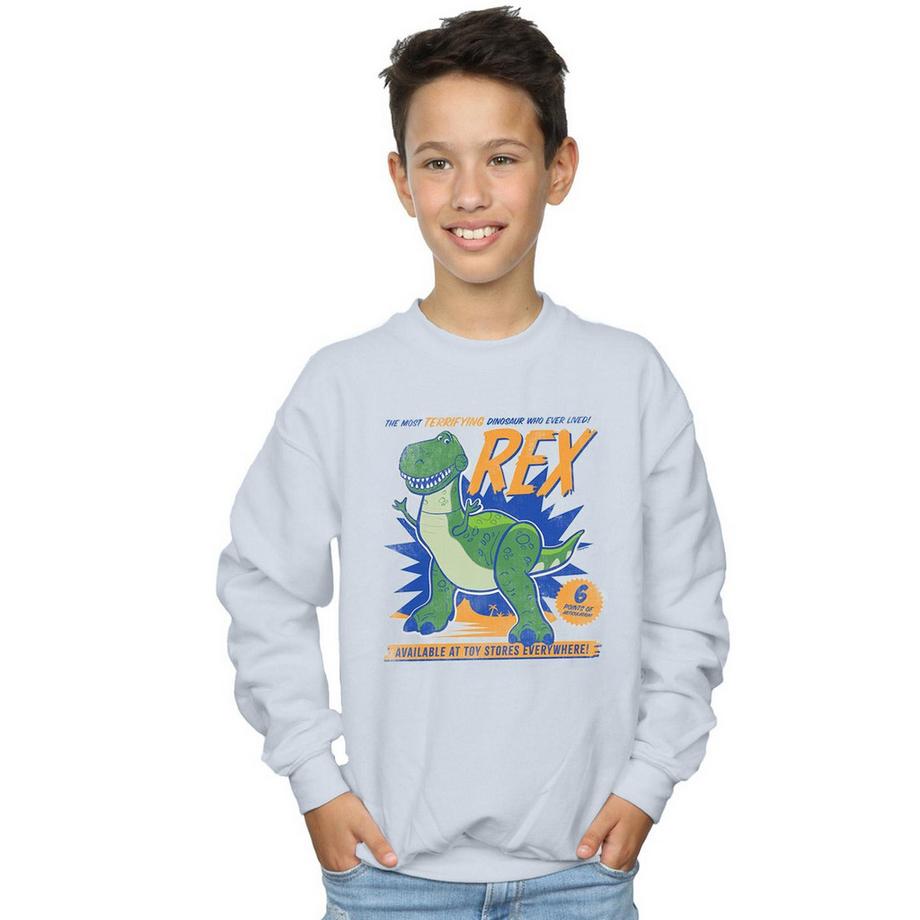 Disney  Toy Story 4 Sweatshirt 