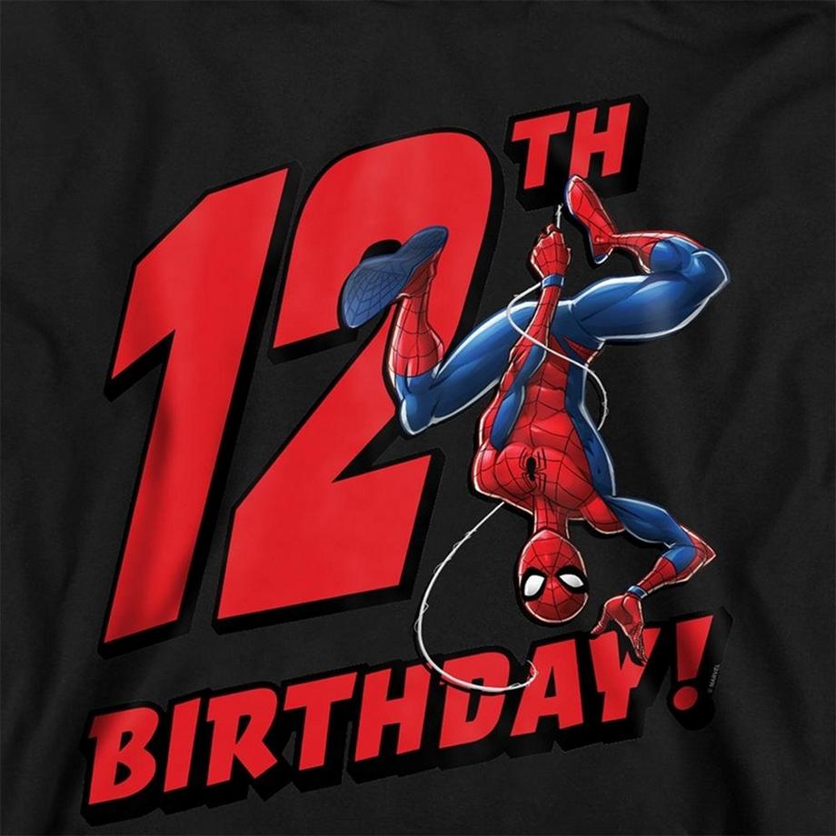 Spider-Man  Sweat À Capuche 12ème Anniversaire 