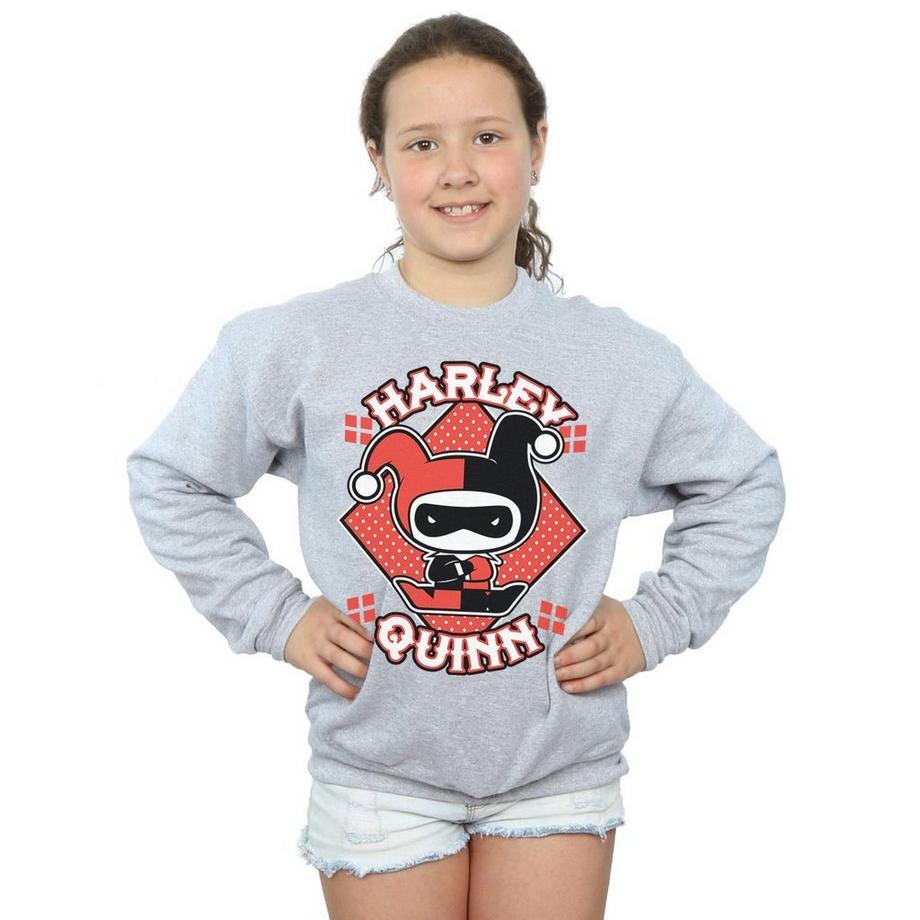 DC COMICS  Sweatshirt 