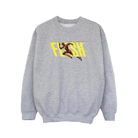 DC COMICS  Sweatshirt 