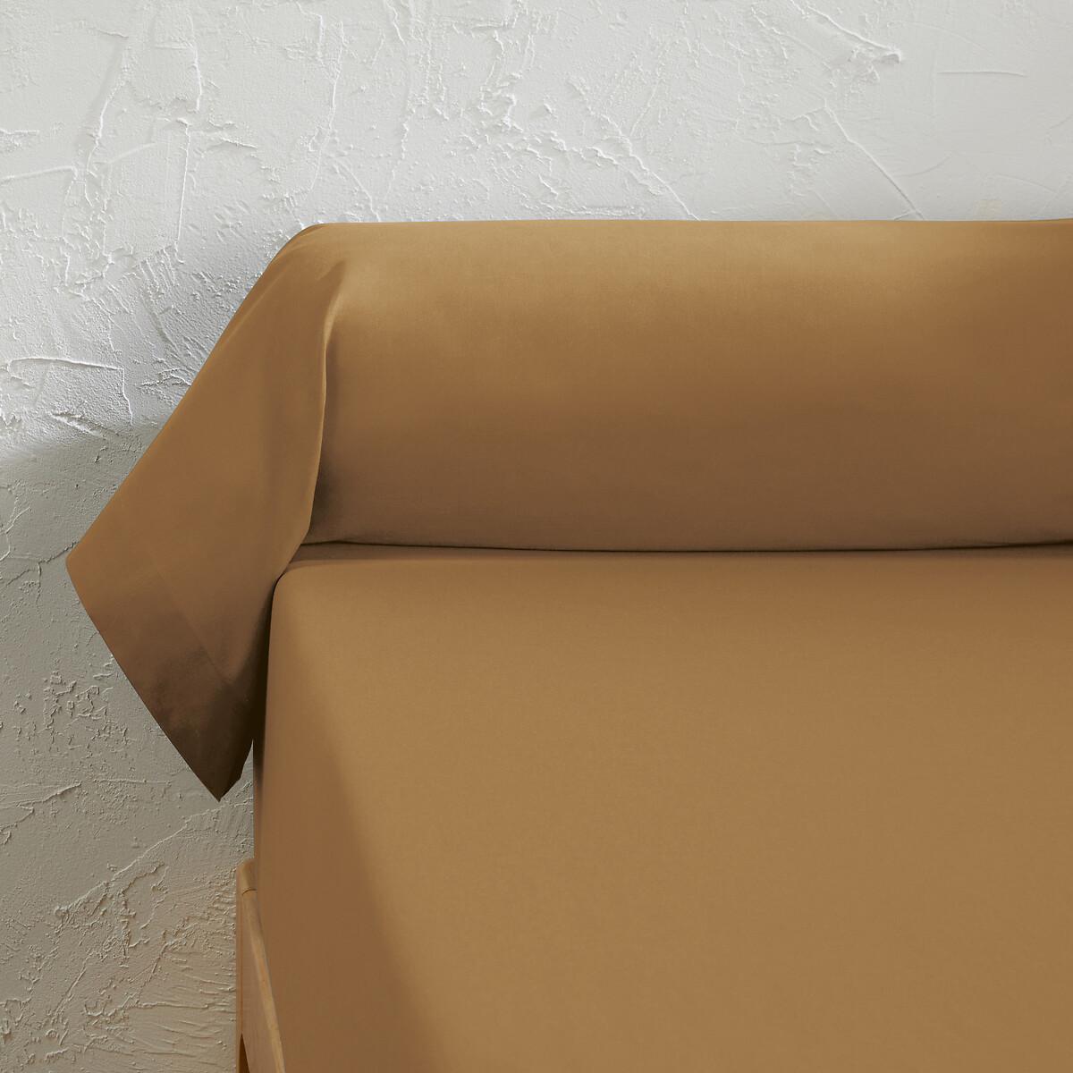 La Redoute Intérieurs Scenario Federa per Cuscino a Rullo in Policotone Tinta Unita  