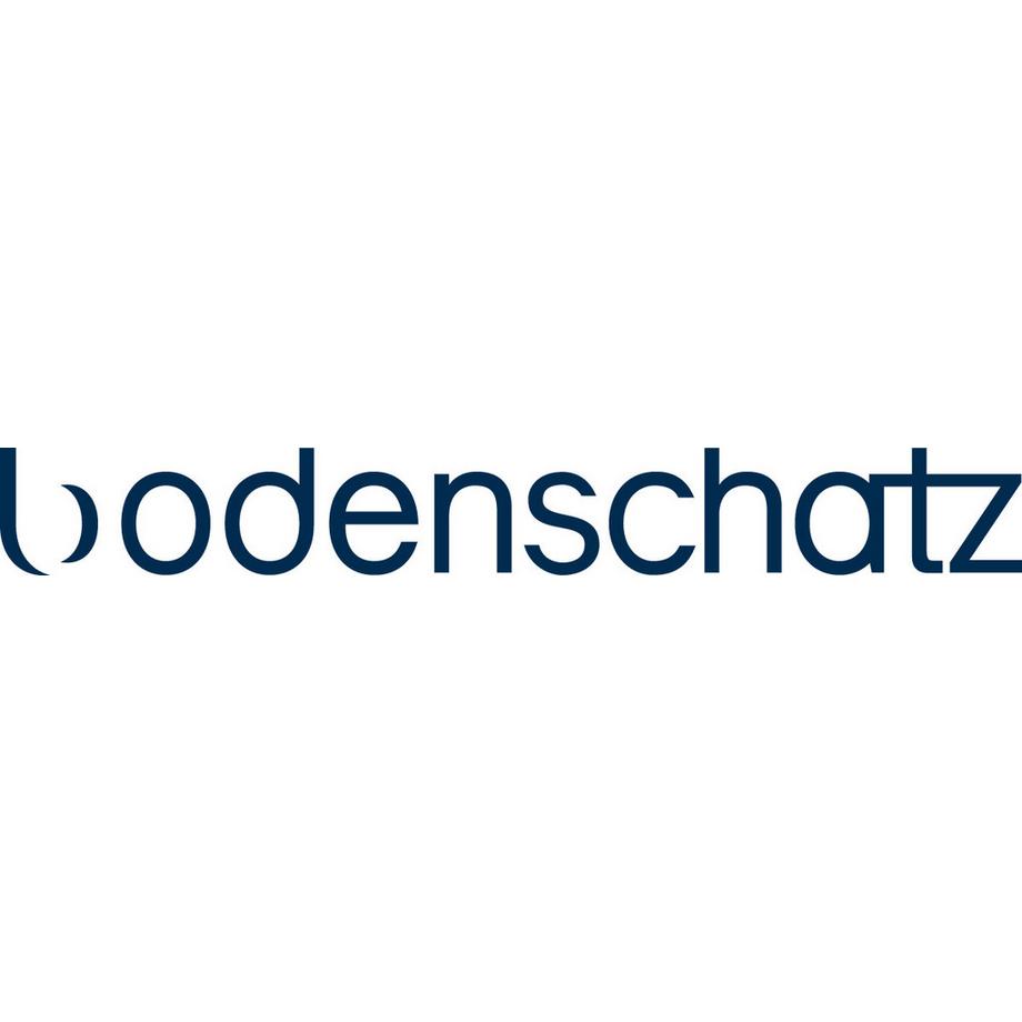 diaqua  Wannenseifenschale CHIC 96 Draht verchromt 