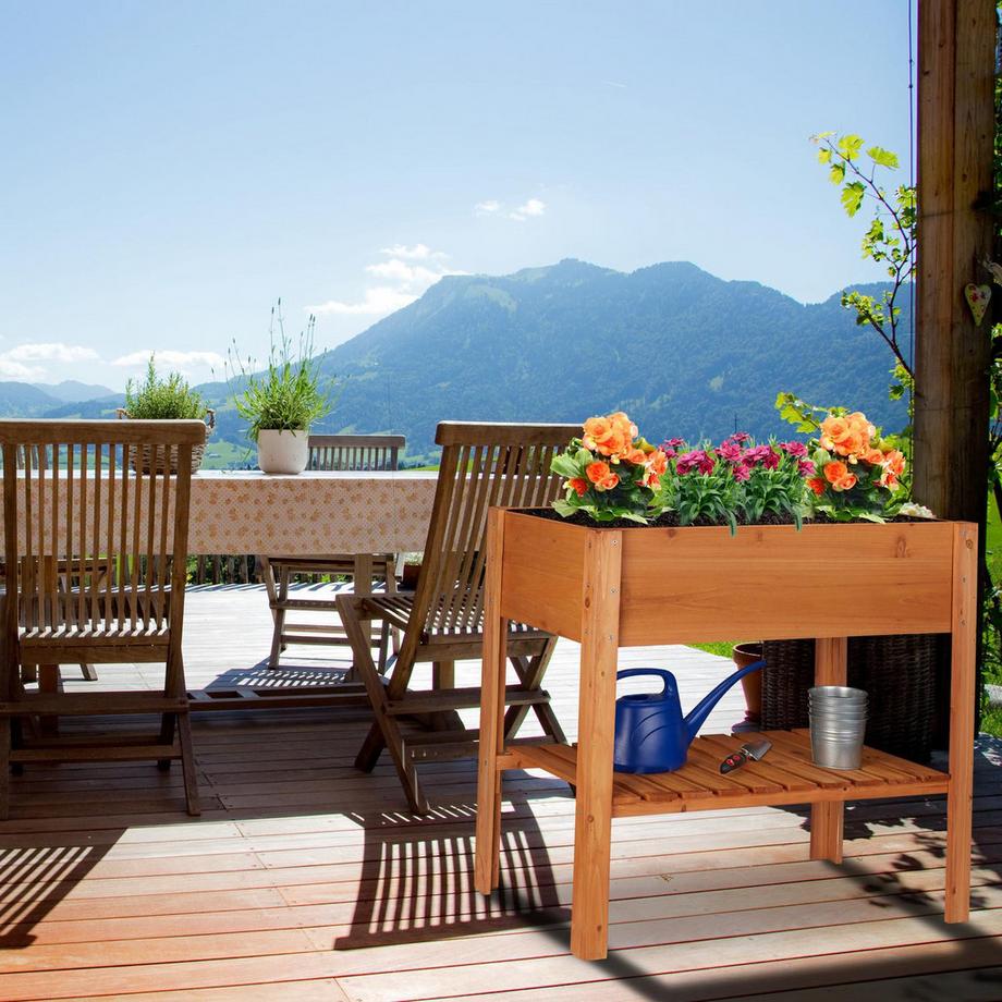 B2X Mensola per piante con legno di bosso in crescita  