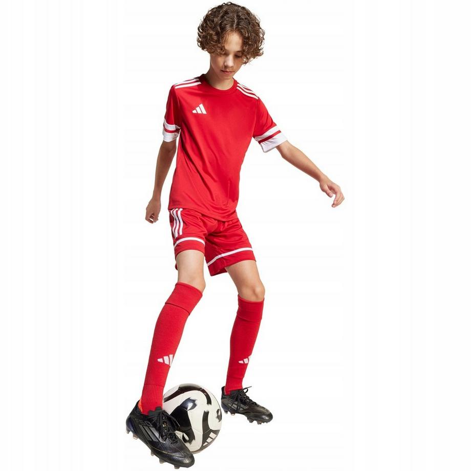 adidas  Short Squadra 