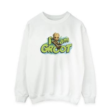 Guardians Of The Galaxy I Am Groot Sweatshirt