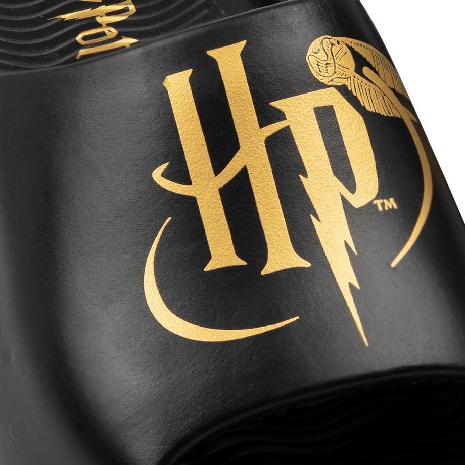 Harry Potter Golden Snitch Badesandale  