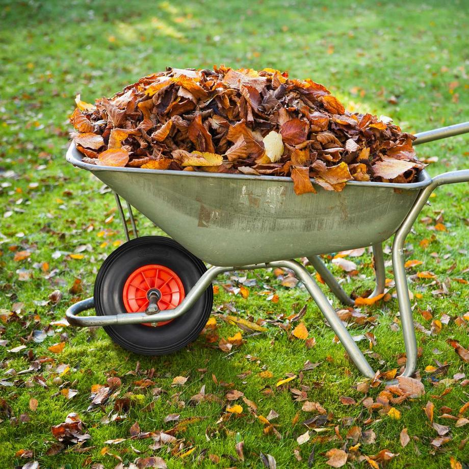 B2X  Rad für Schubkarre Vollgummi 4.00-6 