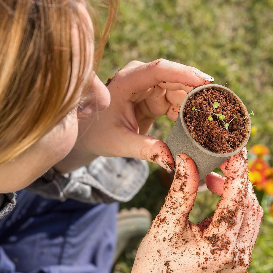 B2X Vaso da coltivazione, set da 96 con accessori  