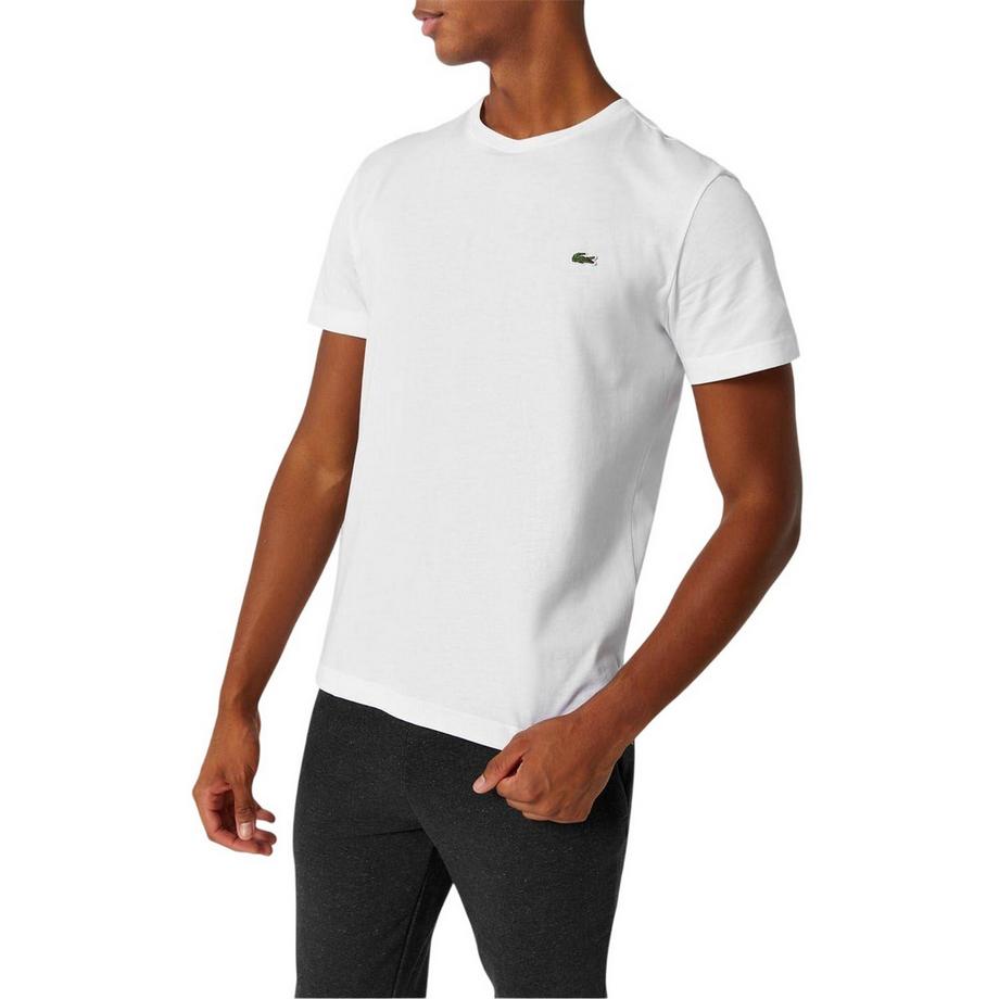 LACOSTE  Maglietta Logo Cotone Premium 