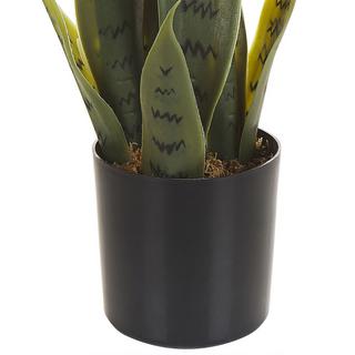 Beliani Pianta artificiale en Materiale sintetico Moderno SNAKE PLANT  