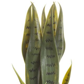 Beliani Kunstpflanze aus Kunststoff Modern SNAKE PLANT  