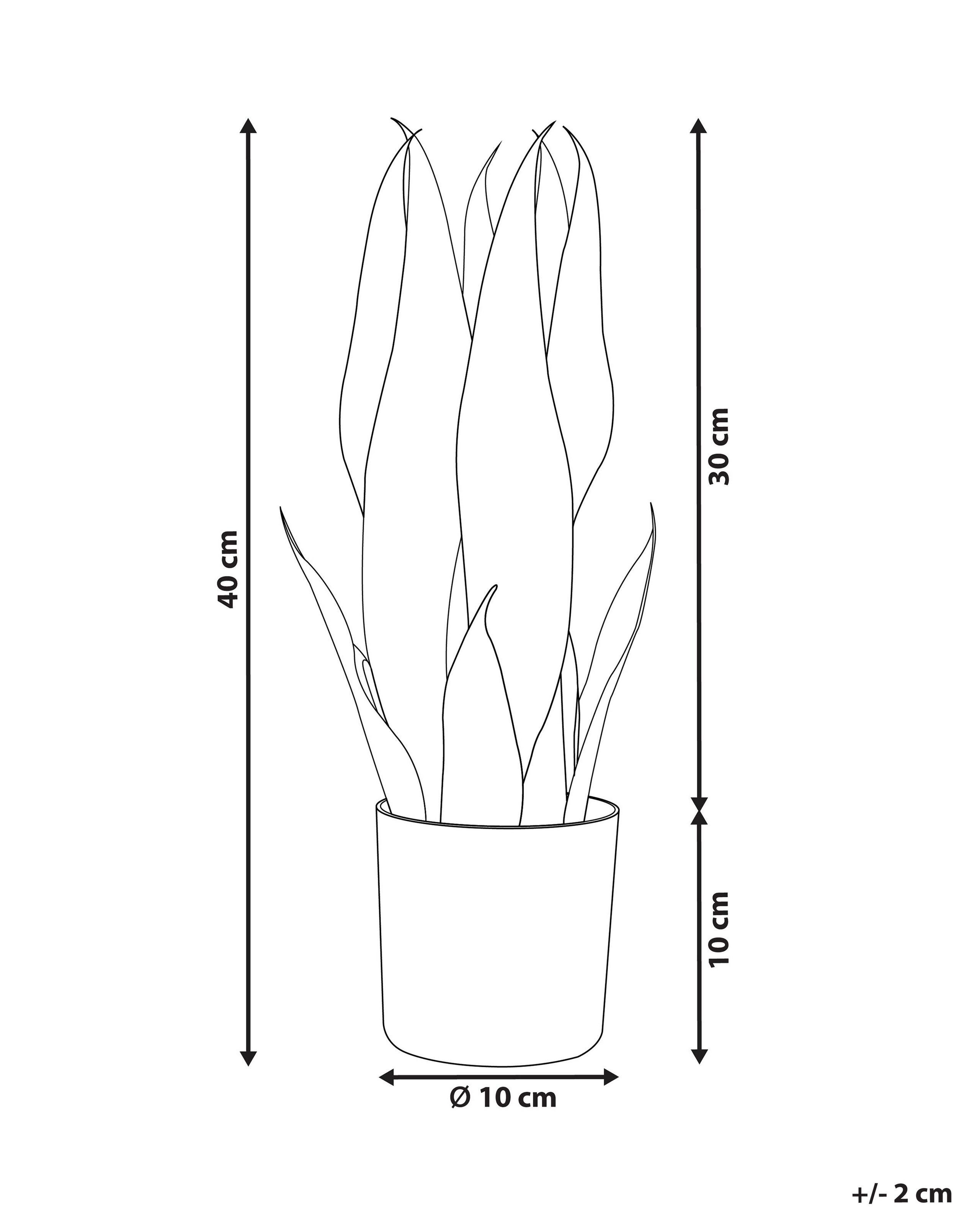 Beliani Pianta artificiale en Materiale sintetico SNAKE PLANT  