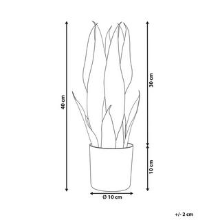 Beliani Pianta artificiale en Materiale sintetico SNAKE PLANT  