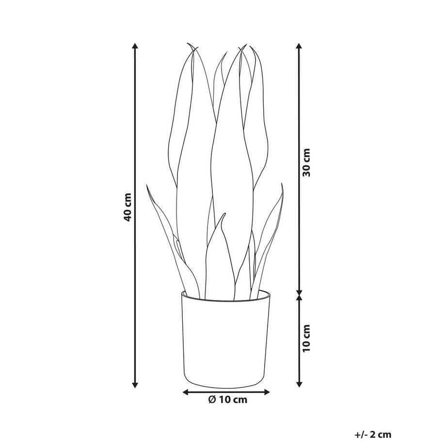 Beliani Pianta artificiale en Materiale sintetico SNAKE PLANT  