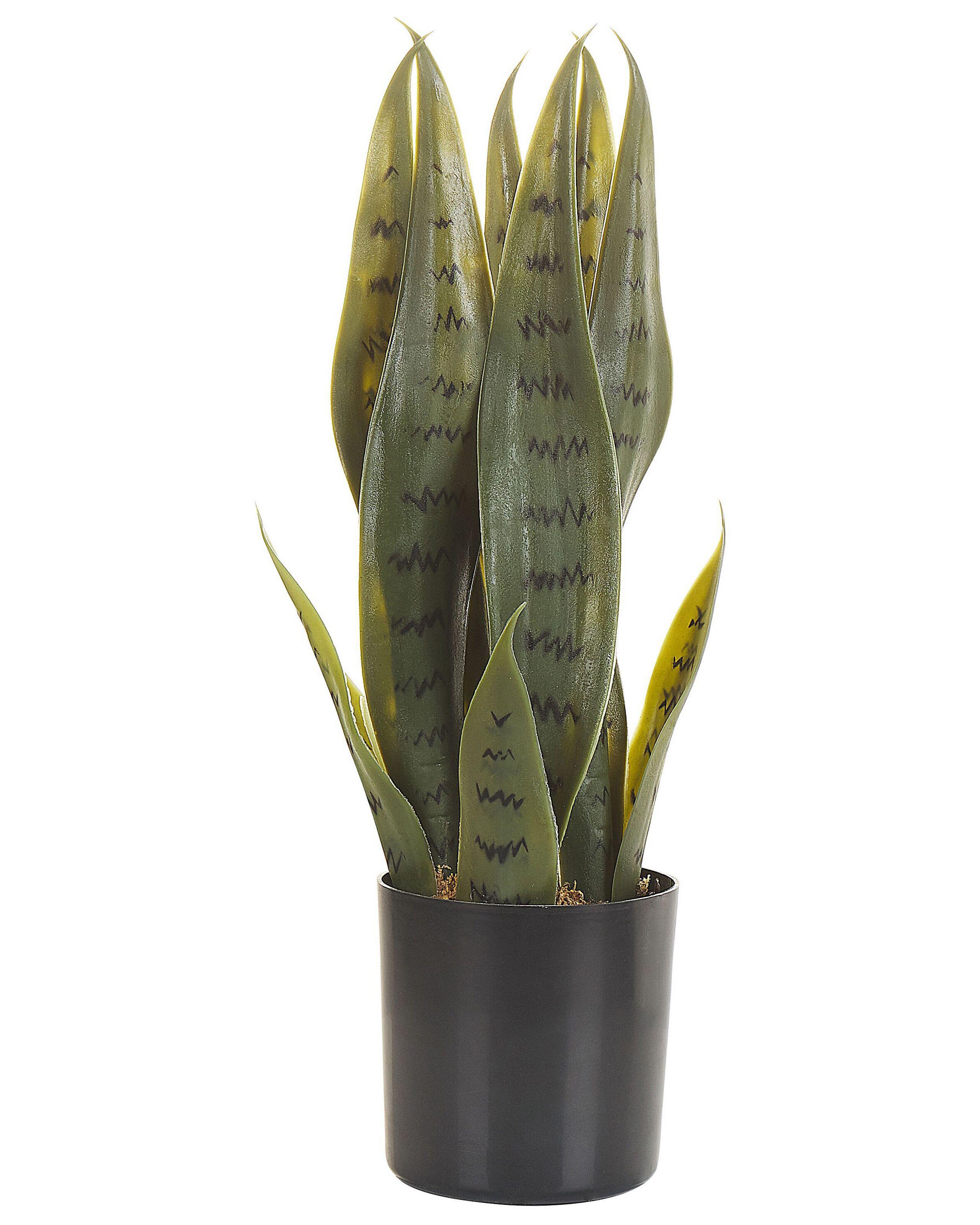 Beliani Pianta artificiale en Materiale sintetico Moderno SNAKE PLANT  