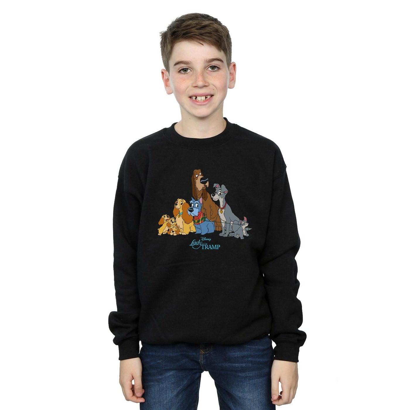 Disney  Lady And The Tramp Sweatshirt 