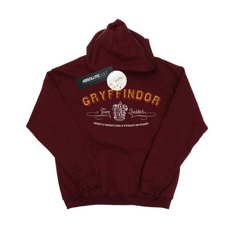 Harry Potter Gryffindor Quidditch Kapuzenpullover  