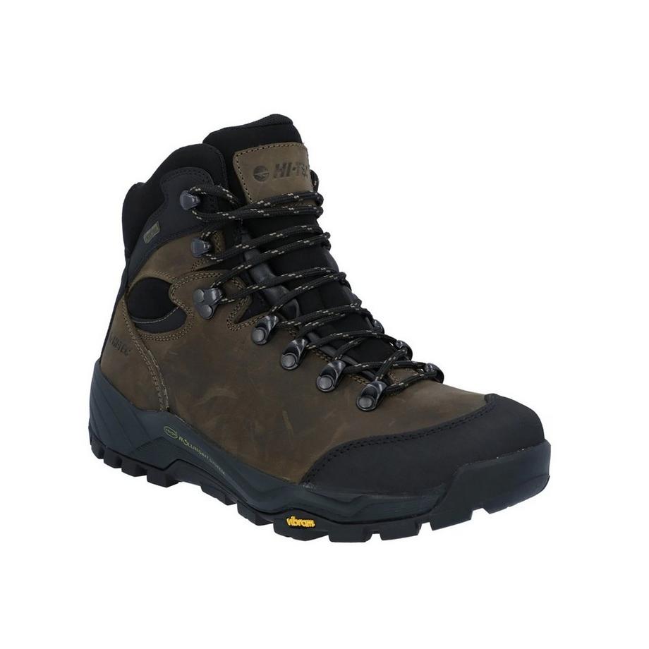 Stiefel Altitude Pro RGS, Leder